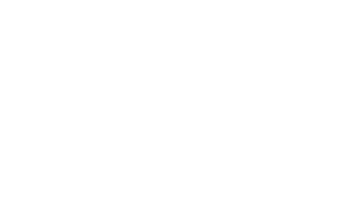 Solintsa_logo-white-02