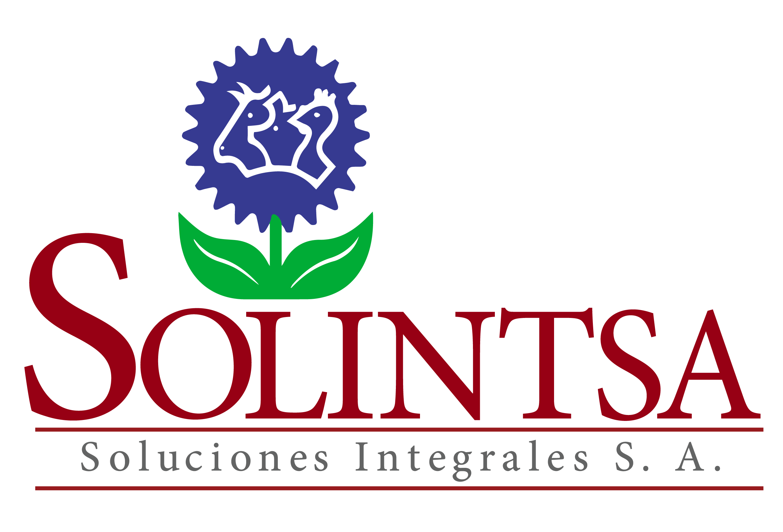 Logo _Solintsa1