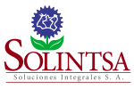 Logo _Solintsa1