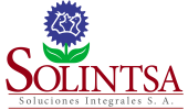 Logo _Solintsa1